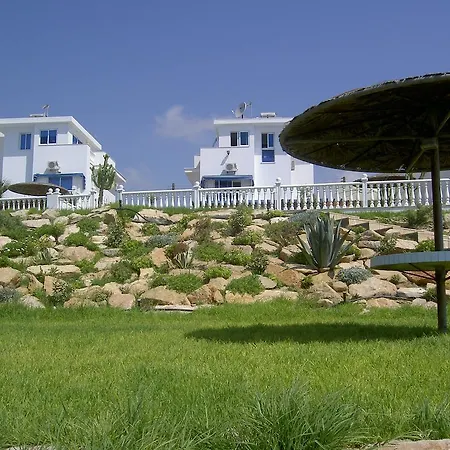 Beachfront Zygi