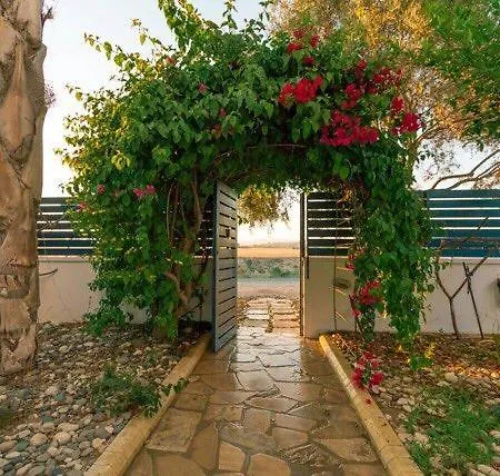 Beachfront Villa Zygi
